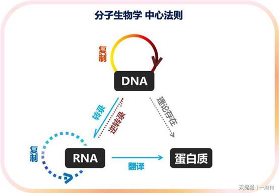 https://nimg.ws.126.net/?url=http%3A%2F%2Fdingyue.ws.126.net%2F2020%2F0701%2F0efd4543j00qcs0250019d000s600jlp.jpg&thumbnail=650x2147483647&quality=80&type=jpg https://nimg.ws.126.net/?url=http%3A%2F%2Fdingyue.ws.126.net%2F2020%2F0701%2F0efd4543j00qcs0250019d000s600jlp.jpg&thumbnail=650x2147483647&quality=80&type=jpg